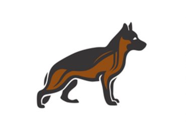 Head Wolf